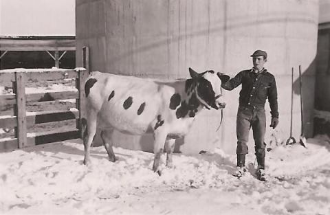 Jimmie Papageorge and one of his prized cows.