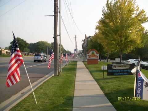 Flags on Washington Blvd for Constitution Day