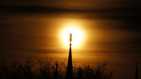 Photo By - Morris Stewart -taken in Brigham of the temple 